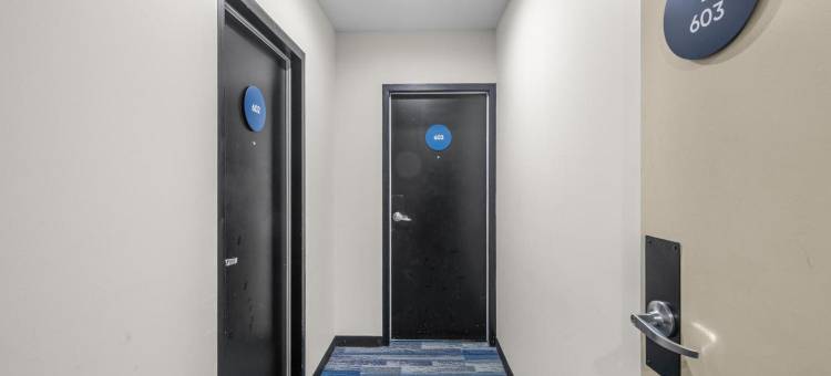 霍桑美延套房(MainStay Suites Hawthorn)图片