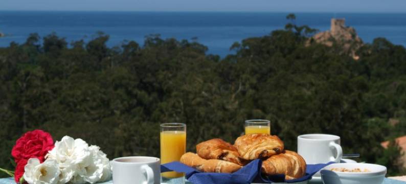 卡波奥托酒店(Capo d'Orto - Porto - Corse)图片