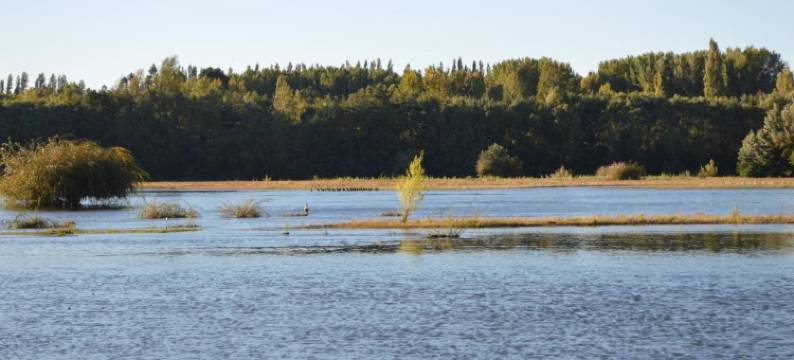 Coyunche Cabañas y Camping Laja & San Rosendo图片