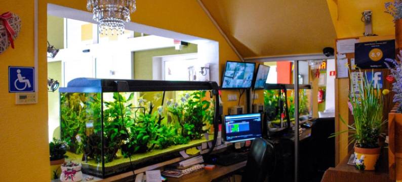 克拉克酒店(Hotel Krak)图片