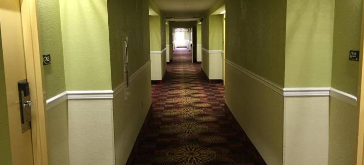 丹德里奇速8酒店(Super 8 by Wyndham Dandridge)图片