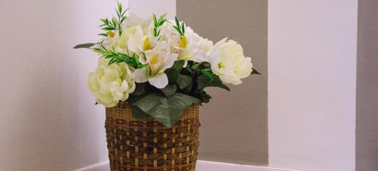 切兹罗密可犹太家庭旅馆(Chezromyk the Kosher B&B)图片