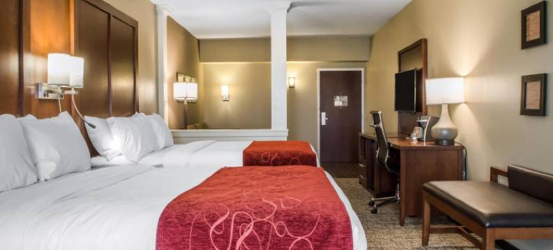 舒适套房酒店-曼海姆兰开斯特(Comfort Suites Manheim - Lancaster)图片