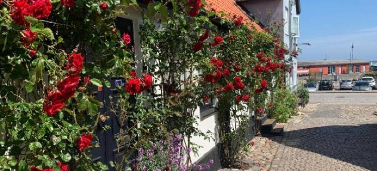 Maritim酒店和Krog酒吧(Maritim Hotell & Krog)图片