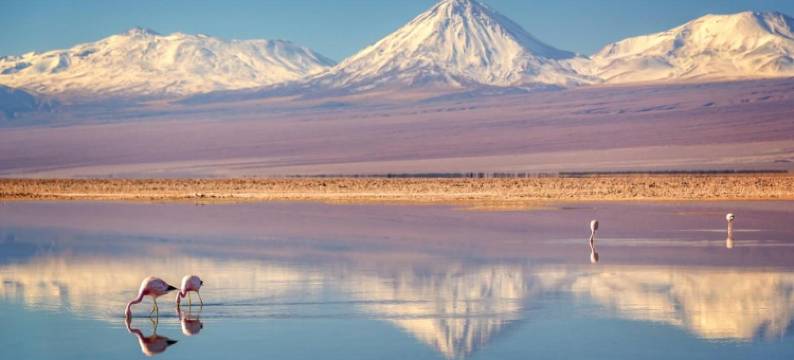 以勒酒店(Hotel Jireh)图片