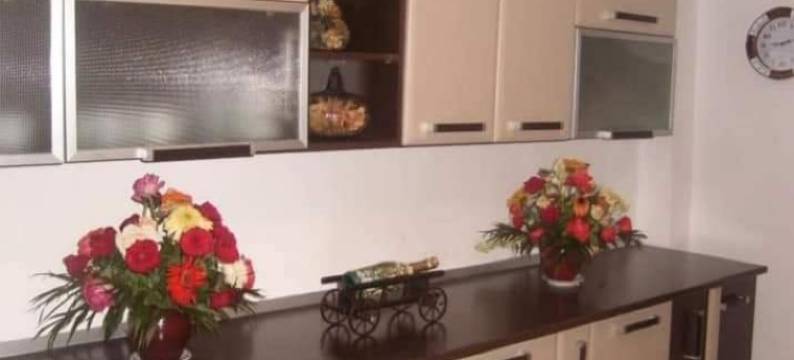 Pensiunea Cabana Viselor ,Apuseni图片