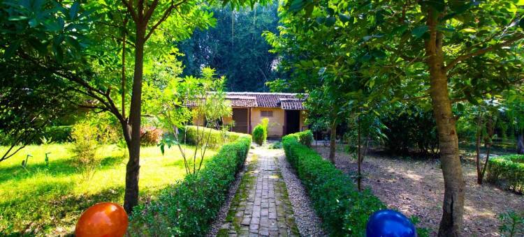 巴尔迪亚狂野星球酒店(Wild Planet Eco Retreat)图片