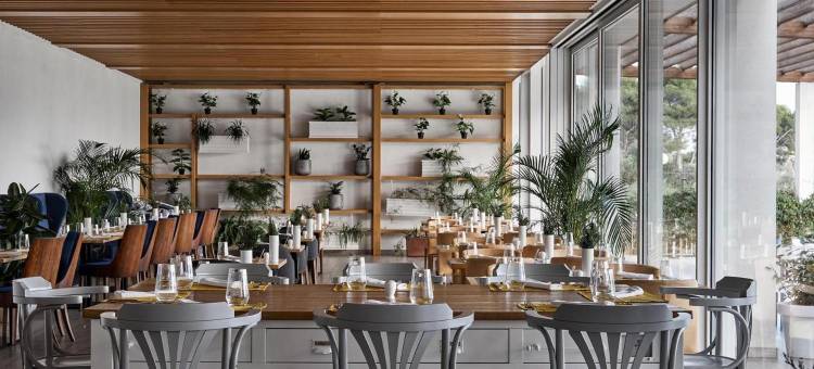 Amadria公园海滩酒店 Jure(Amadria Park Beach Hotel Jure)图片