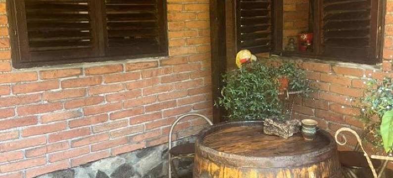 卡萨德奥赛鹏特杜瑞拉卡扎尼乡村民宿(Casa de Oaspeti Dunarea la Cazane)图片