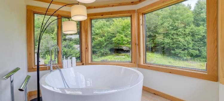 布卢姆维尔的卡茨基尔山小屋！(Catskills Mountain Cabin in Bloomville!)图片