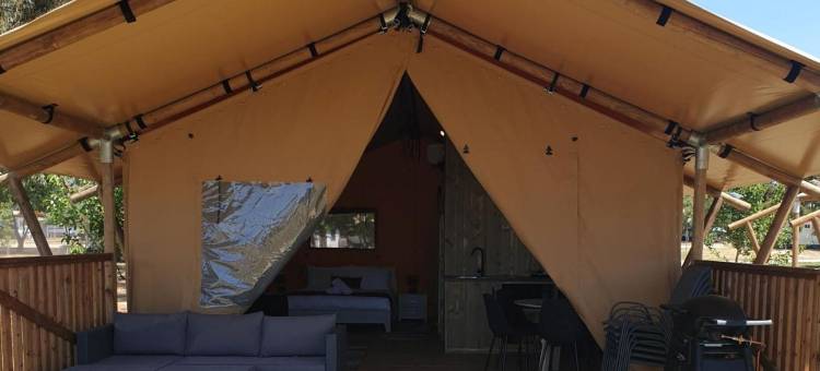 比格 4 塔格迪假日公园酒店(Big4 Taggerty Holiday Park)图片