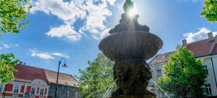 霍默斯拉尼旅馆(Penzion Homér Slaný)图片