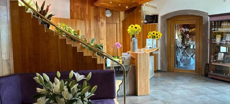 罗森米尔旅馆(Le Rosenmeer - Hotel Restaurant, au Coeur de la Route des Vins d'Alsace)图片