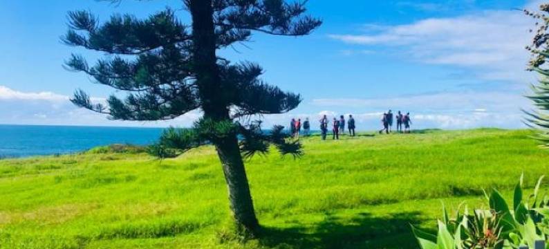 百叶窗 - 基亚玛海滨(Shutters by the Sea Waterfront Ocean View Studio, Kiama)图片