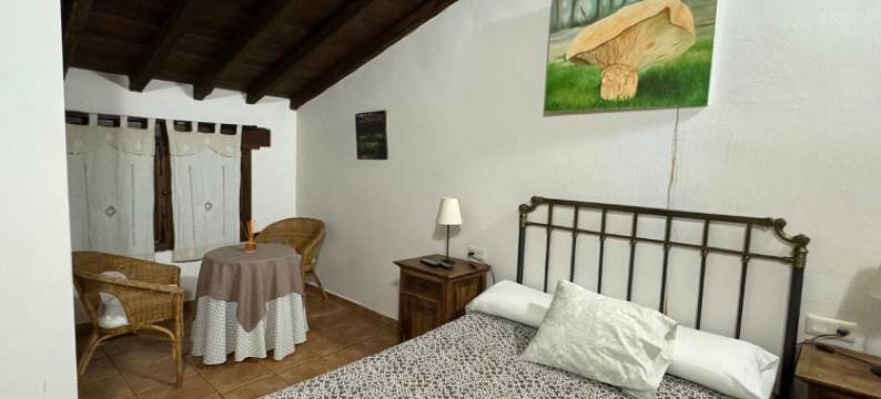 卡索纳酒店(La Casona de Jaraiz)图片