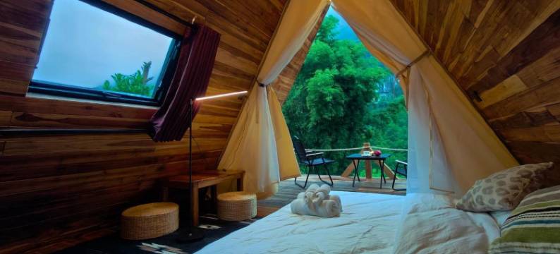 Mimosa Backpackers Hostel图片