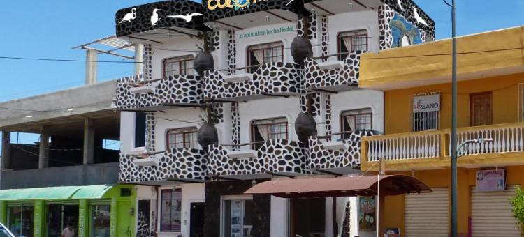 科罗玛加拉帕格斯酒店(Hotel Coloma Galapagos)图片