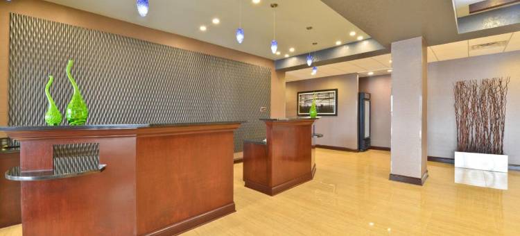 艾尔克格罗夫村奥黑尔温德姆花园酒店(Wyndham Garden Elk Grove Village/O'Hare)图片