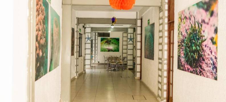 阿卡普尔科爱默酒店(Acapulco Amor)图片