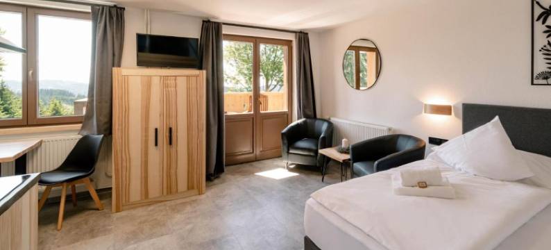 马提纳克霍尔斯基酒店(Wellness Aparthotel Martiňák)图片