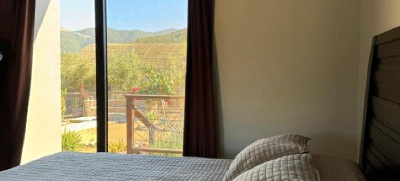 音译：考克纳斯德尔瓦列(Coquenas del Valle)图片