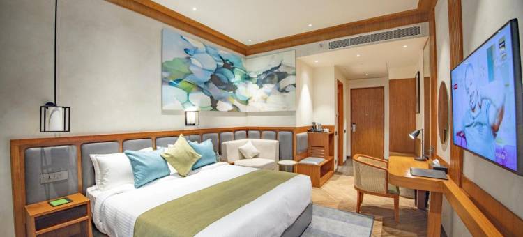 温德姆花园 索尼帕特 穆尔塔尔(Wyndham Garden Sonipat Murthal)图片