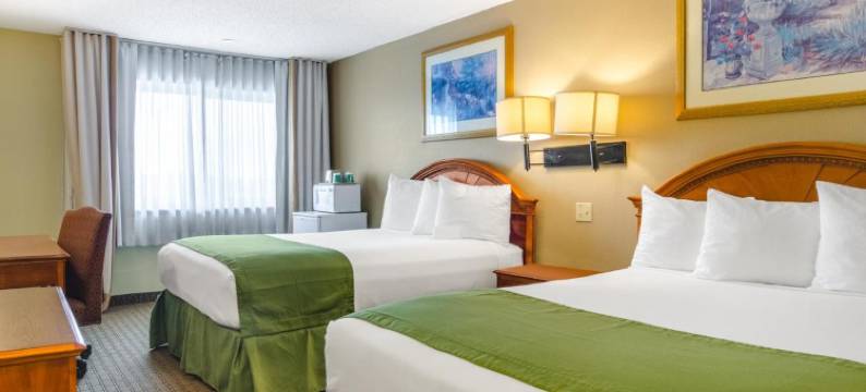 薜安旅客汽车旅馆(Cheyenne Guest Inn)图片