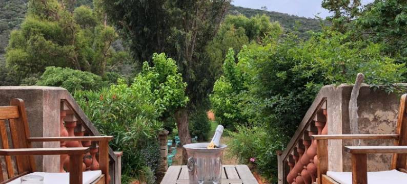 克罗港口庄园酒店(Le Manoir de Port-Cros)图片