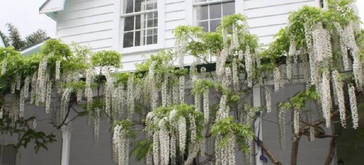帕赫基精品小屋(Paheke Boutique Lodge)图片