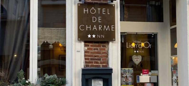 金狮酒店和Spa(Hôtel le Lion d'or)图片