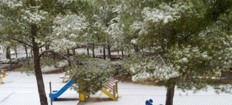 Hostal Almenara图片