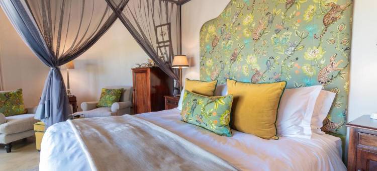 The Last Word Kitara图片