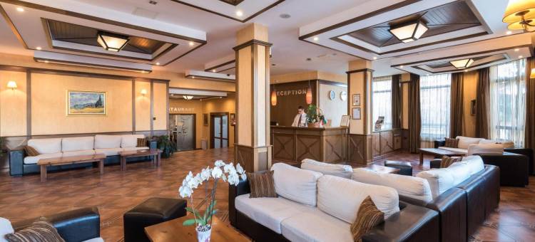 埃维莉娜宫殿酒店(Evelina Palace Hotel)图片