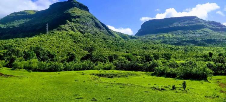 露珠精品度假村(Dew Drops Boutique Retreat)图片