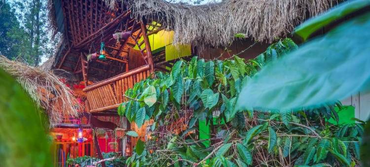常青县度假村库格 - 咖啡种植园度假屋(Evergreen County Retreat-India's First Adventure Veg Retreat)图片