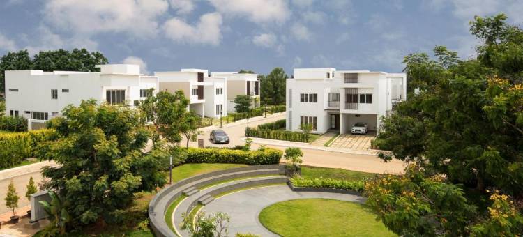 世纪冬日施普雷度假村(Spree Resort at Century Wintersun)图片