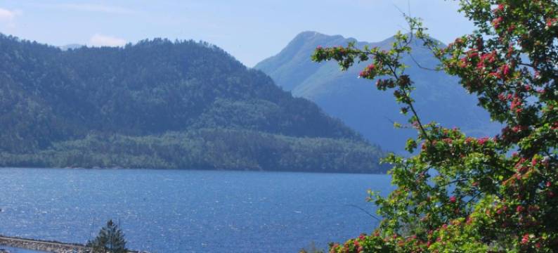 舍霍尔特露营酒店(Sjøholt Camping)图片