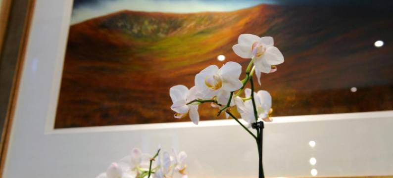 狼堡乡村酒店(Wolfscastle Country Hotel)图片