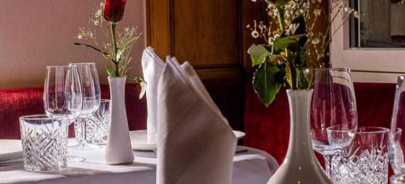 莱荷夫酒店(Hotel Rhyhof)图片