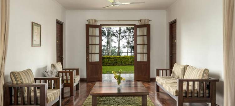 橄榄平房(Olive Bungalow)图片