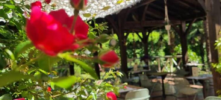 洛吉斯商务餐厅酒店(Logis Hôtel Restaurant du Commerce)图片