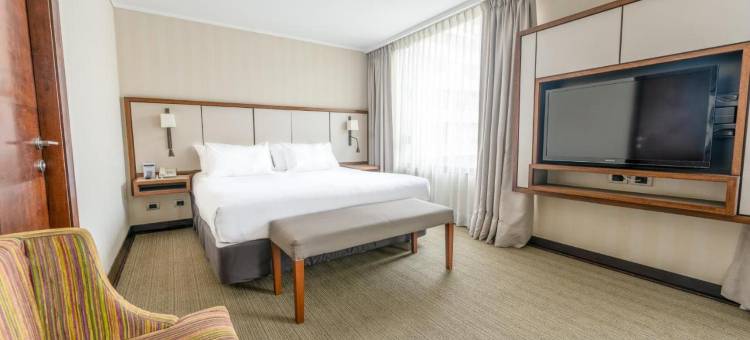 圣地亚哥阿巴总统套房酒店(Abba Presidente Suites Santiago)图片