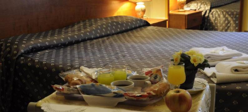 法瑞尼酒店(Hotel Farini)图片