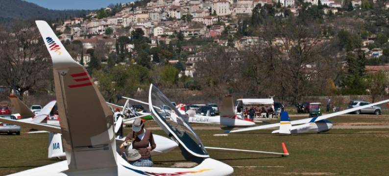 欧利维酒店(Hotel les Oliviers)图片