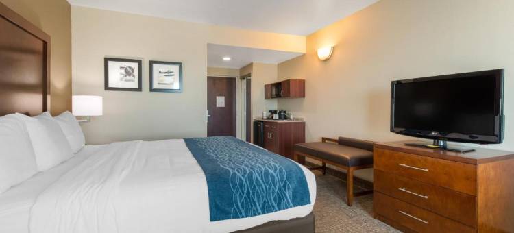 塔瓦雷斯北舒适套房酒店(Comfort Inn & Suites Tavares North)图片