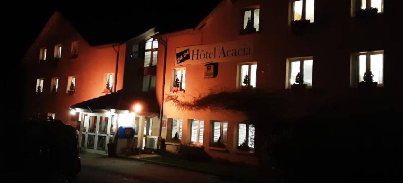 南卢内维尔阿卡西亚南希酒店(Hôtel Acacia Nancy Sud Lunéville)图片