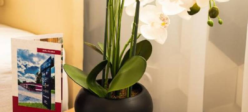 瑞德莎斯拉卡钻石酒店(Diament Ruda Śląska)图片