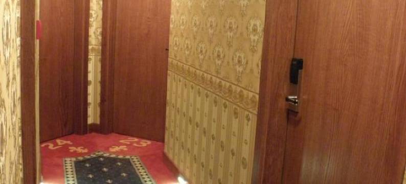 卢卡宫酒店(Rezydencja Pałac Lucja BB)图片