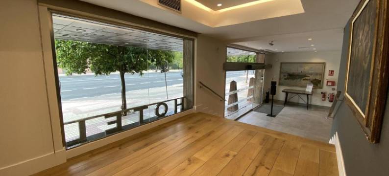 城堡酒店(Hotel Alcázar)图片