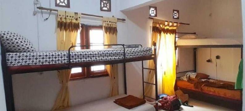 劳拉背包客523旅馆(Laura's Backpacker 523)图片